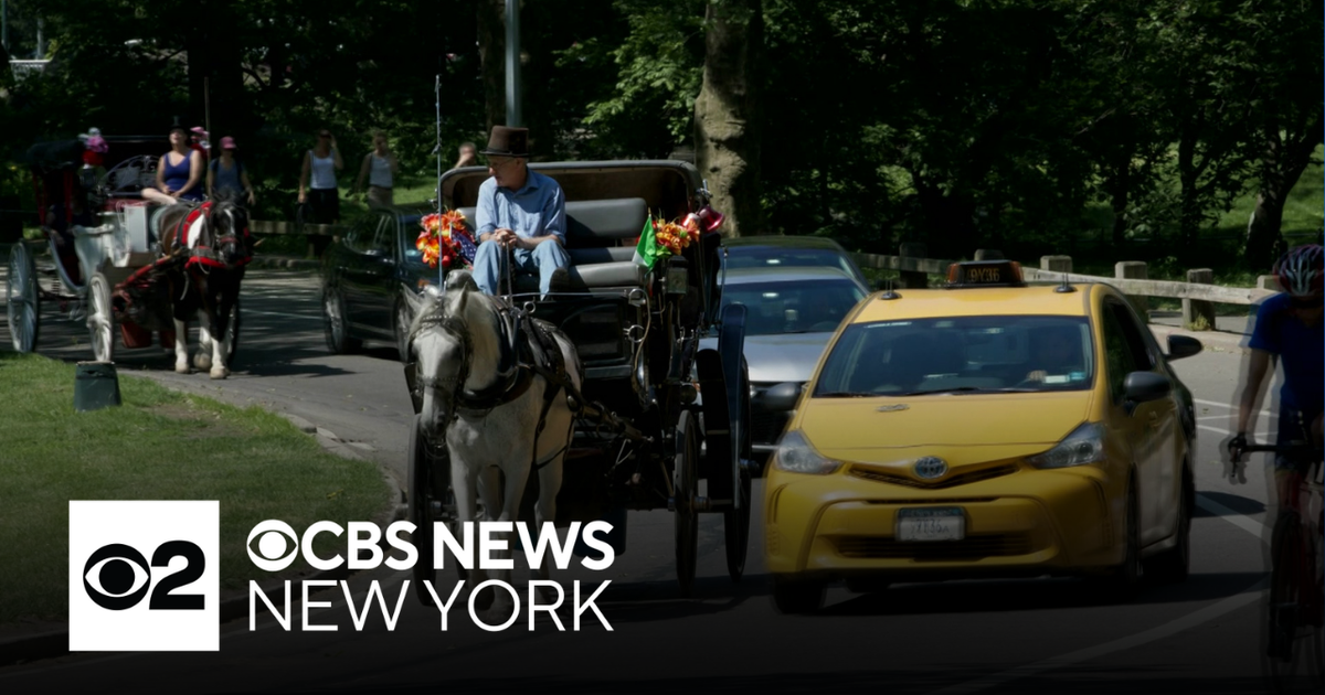 NYC Council set to pass bill banning Central Park horse carriages