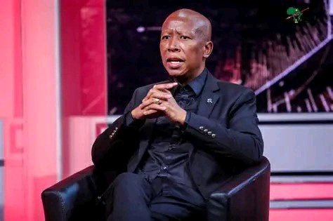 “You Are a Boy”: MySol to Julius Malema After EFF Leader Calls Him Out at Rally