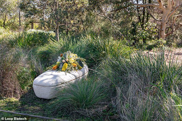 Would you get buried in a ‘living coffin’? Australian woman is put to rest in a casket made from mushrooms