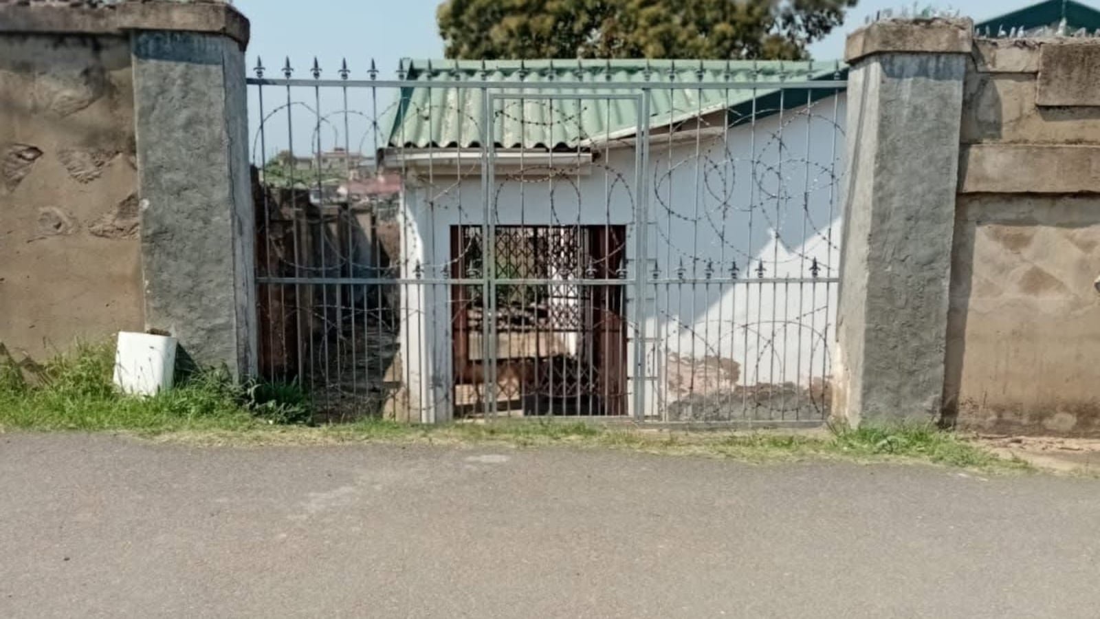 Son sits with mum’s decomposed body