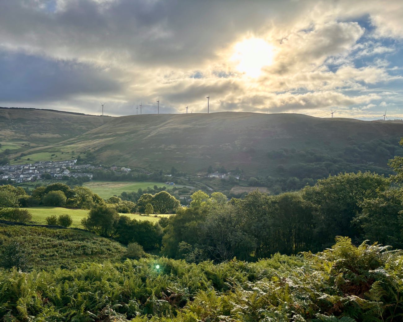 ‘How green are our valleys?’: in the footsteps of miners on south Wales’s new forest trail