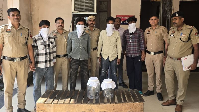 Yamunanagar police arrest 4 persons, recover 2 country-made illegal pistols