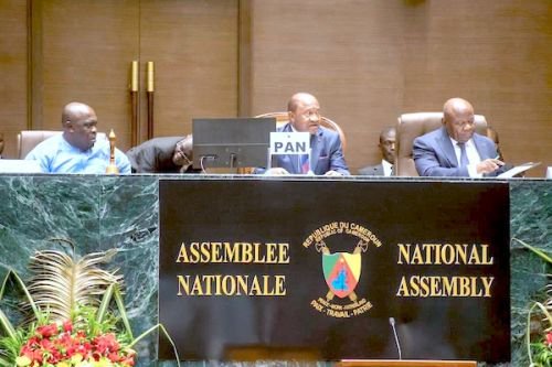 Cameroon’s National Assembly May Revise Administrative Structure After Staff Audit