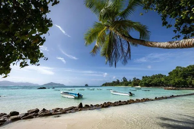 Mauritius rocked by unrest as curfew follows police shooting