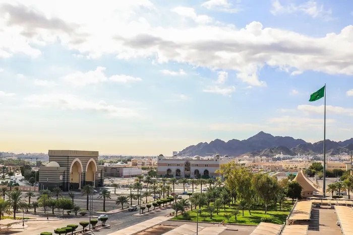 Saudi Arabia scholarships for Ghanaians: 6 universities, 9 fields and how to apply before Oct 28