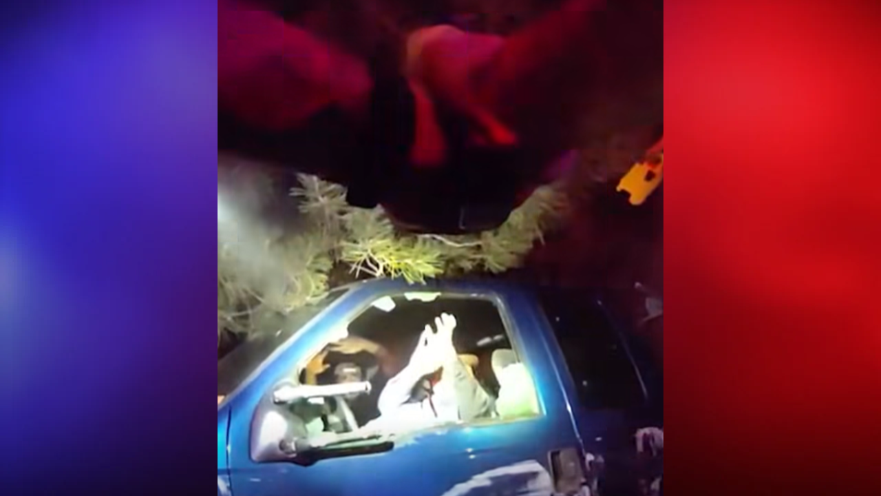 Stolen Truck Nearly Strikes Officers During Wild Pursuit Before Getting Stuck in Church Garden