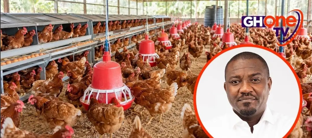 John Dumelo Reveals Why Local Chicken Costs More Than Imported Chicken in Ghana