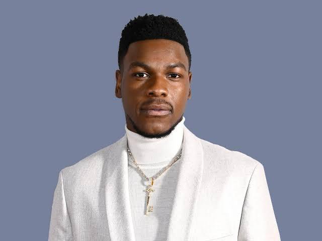 Hollywood Stars With Nigerian Roots: 10 Actors and Actresses Making Waves
