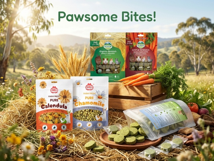 Irresistible Treats for Your Furry Friends: A Delightful Selection