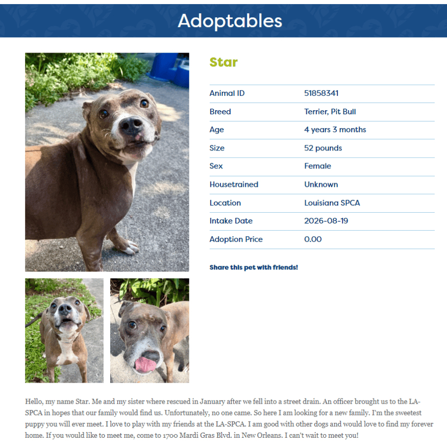 Neighborly Natalie has a STAR for you over at the LASPCA plus a party with a purpose!