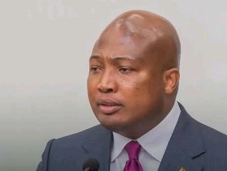 Govt Owes Consular Duty To Every Ghanaian, No Party Card Required For Evacuation – Okudzeto Ablakwa