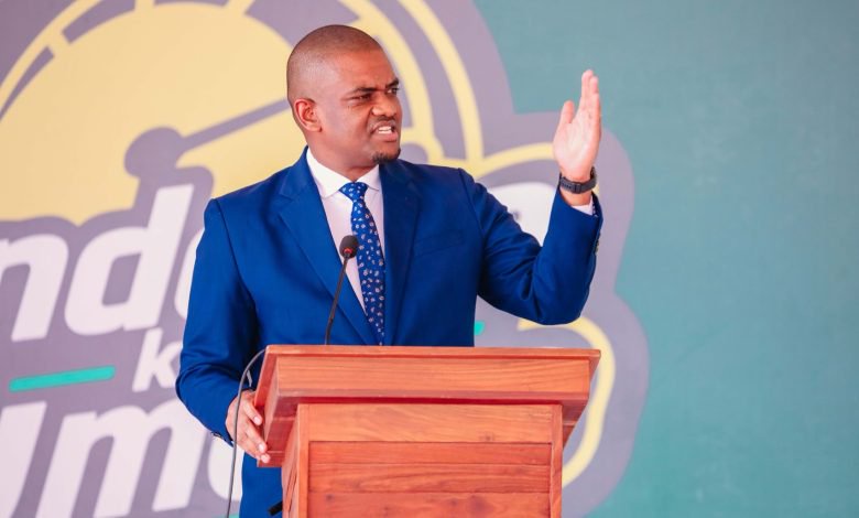 VP orders action on delayed Katavi projects