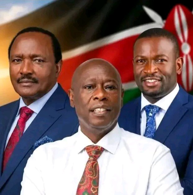 Latest Opinion Poll Conducted Online Shows Opposition Most Preferred Presidential Candidate In 2027