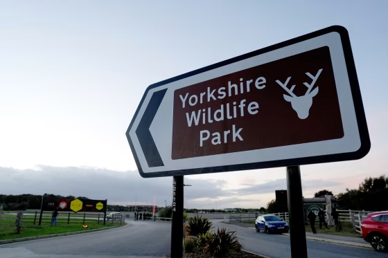 Tiger kills man who entered its enclosure at English wildlife park