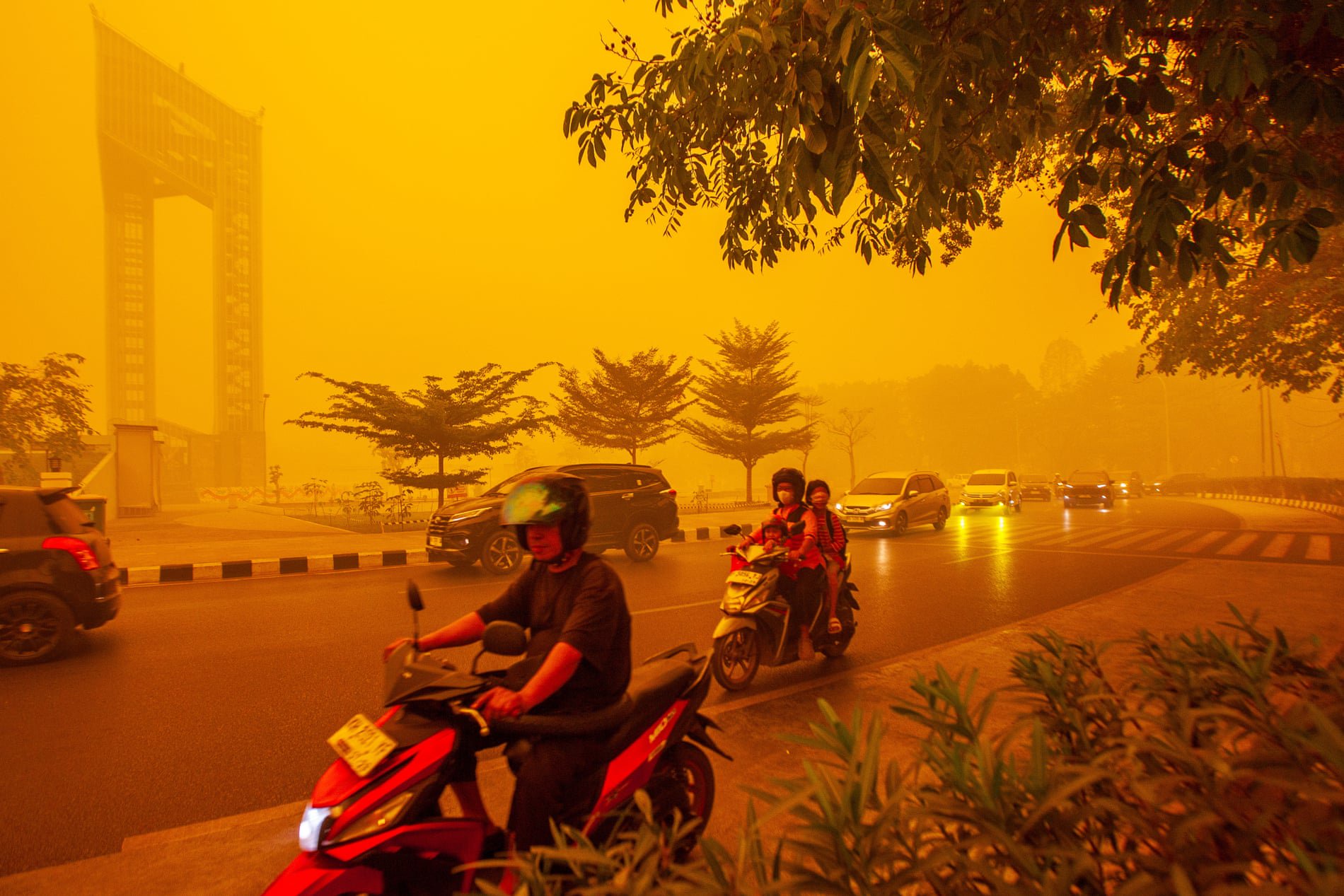 Wildfire haze in Borneo and fallen soldiers in Vietnam: Wednesday’s photos of the day