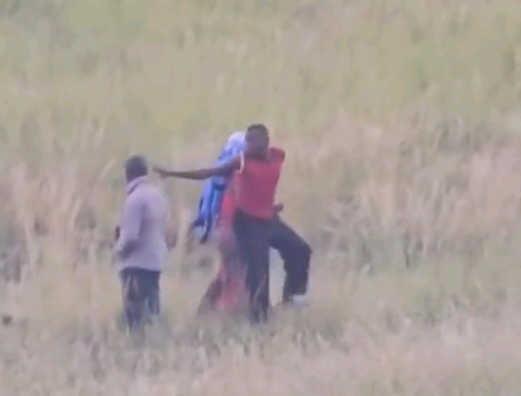 Two Men and a Woman Filmed in Apparent Sexual Encounter Inside Thick Forest  Goes viral