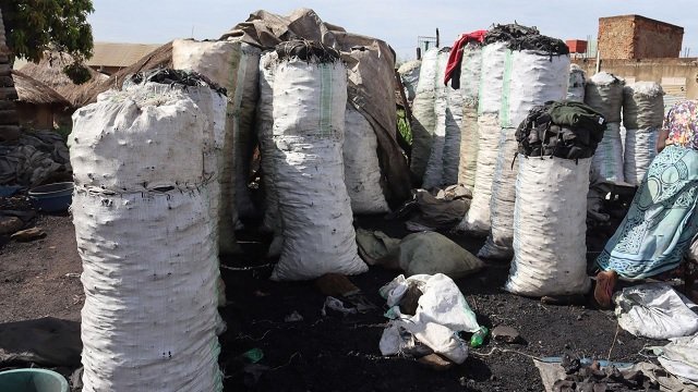 Uganda’s Charcoal Debate: A Ban Without Plan Will Burn the Poor First