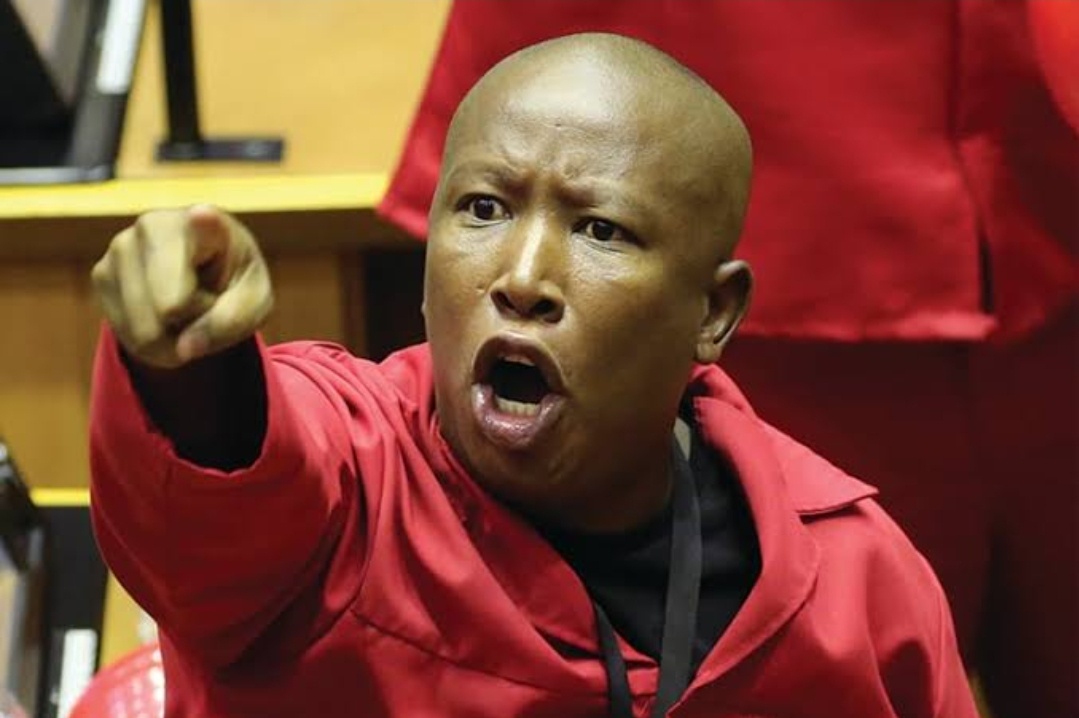 Malema Says White People Must Surrender Most Of Their Land For SA To Achieve Economic Equality