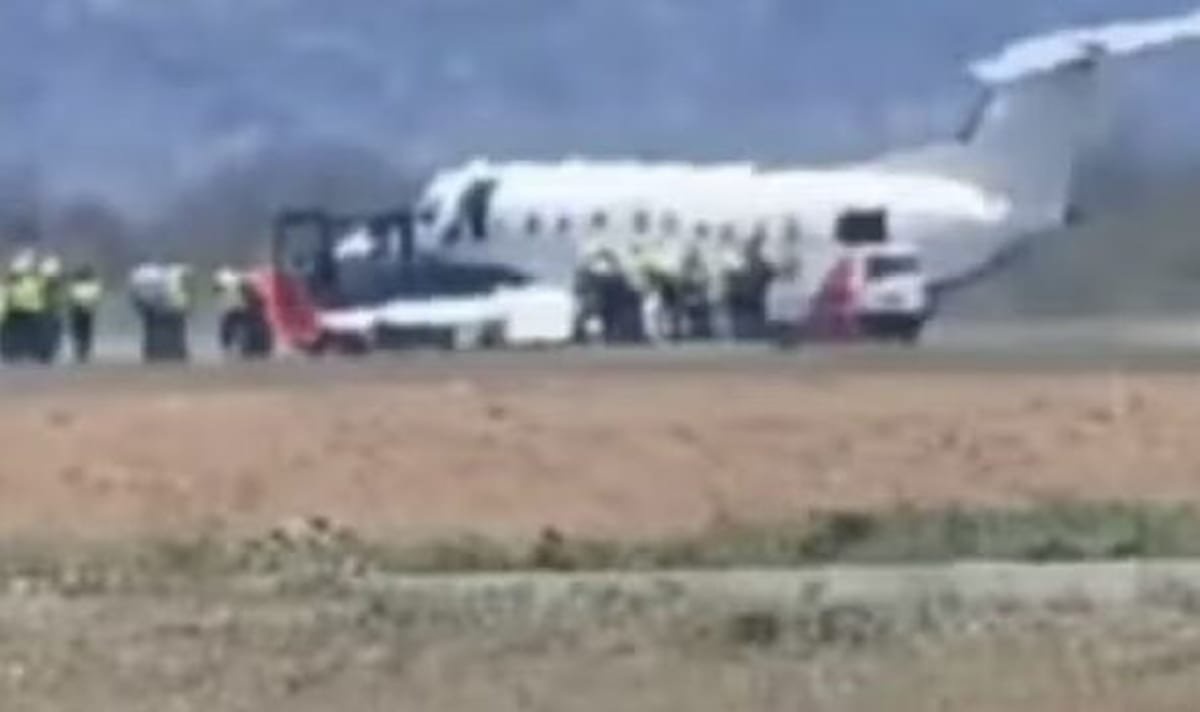 Horror as plane strikes and kills zebra while taking off in terrifying scenes