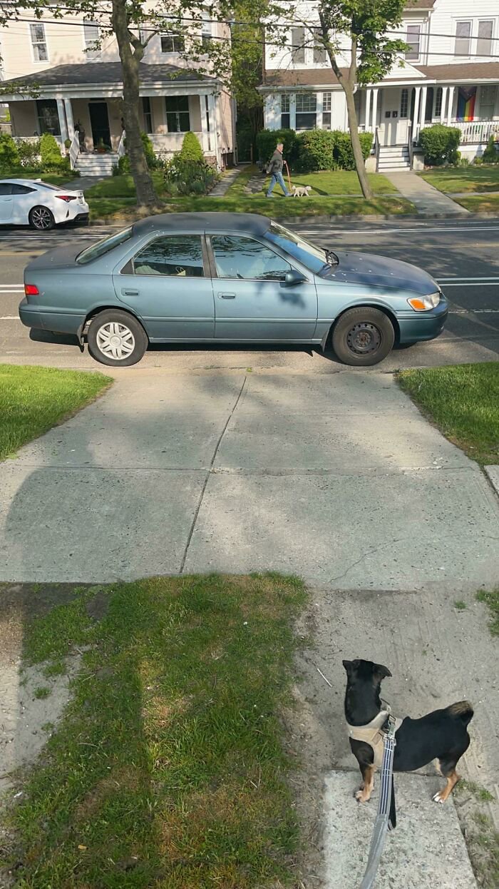 65 Photos Of Neighbors So Inconsiderate That You Might Feel Grateful For The Ones Living Next To You