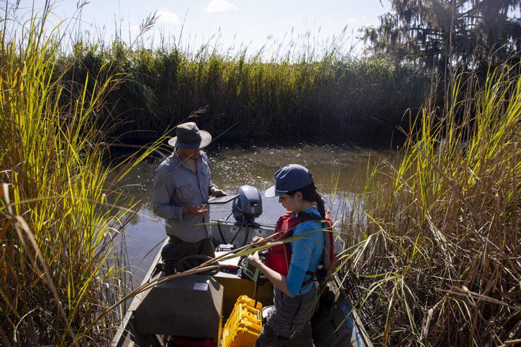 Photos: Exploring Hobcaw Barony as a historical record and living, changing being