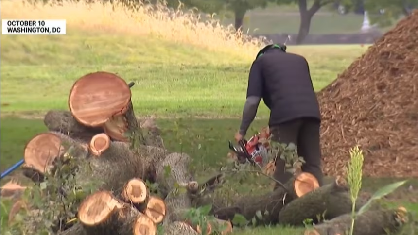 Judge leans toward extending halt on tree clearing at golf course where Trump says redesign should start ‘immediately’