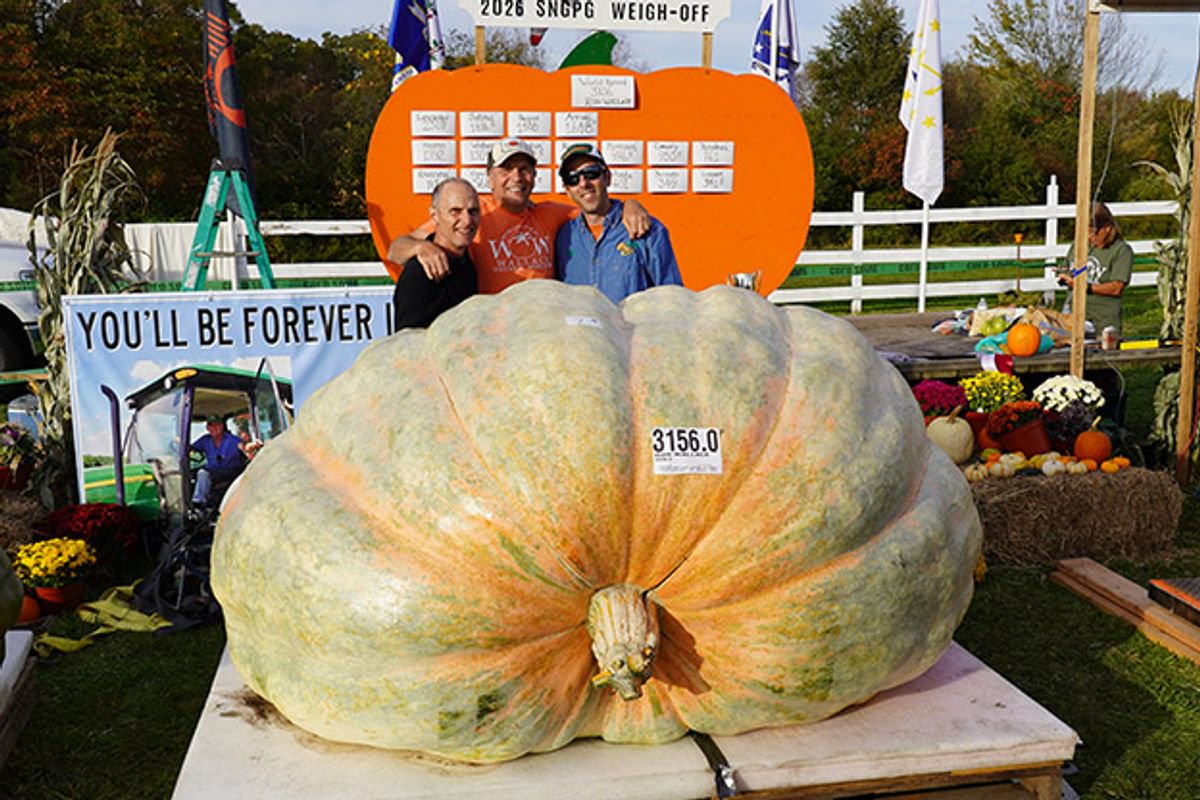 World’s biggest pumpkin record beaten twice in one week with whopper the size of car