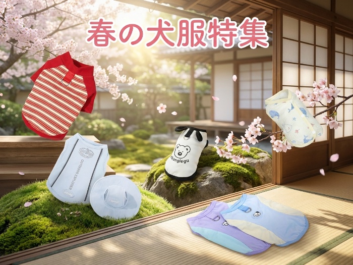 ペットとのお出かけに最適！春夏向けファッションアイテム特集