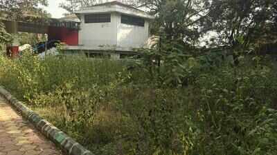 Crores spent, but MG Park turns wild as upkeep wilts