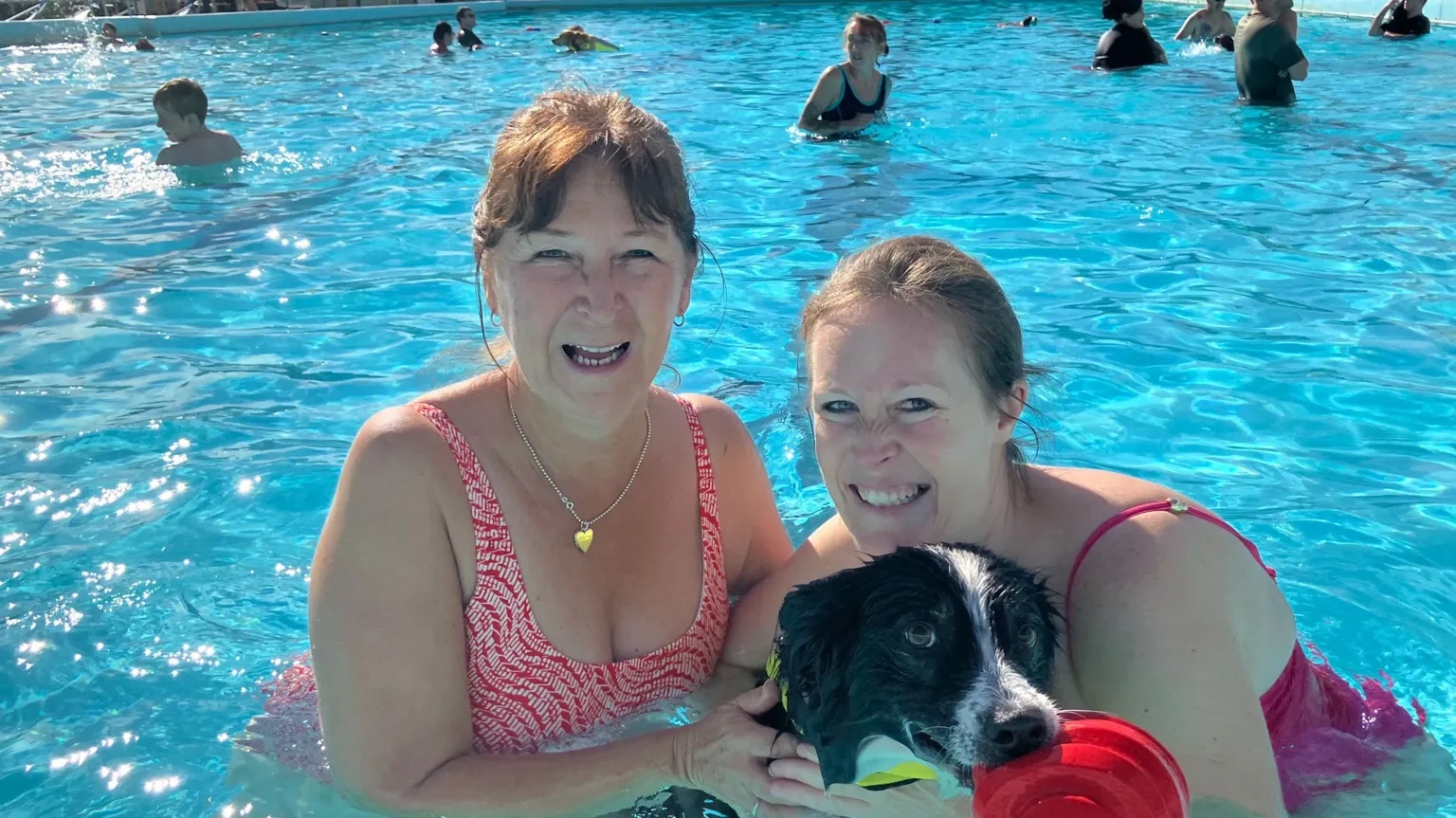 In pictures: Dogs make a splash at city’s lido