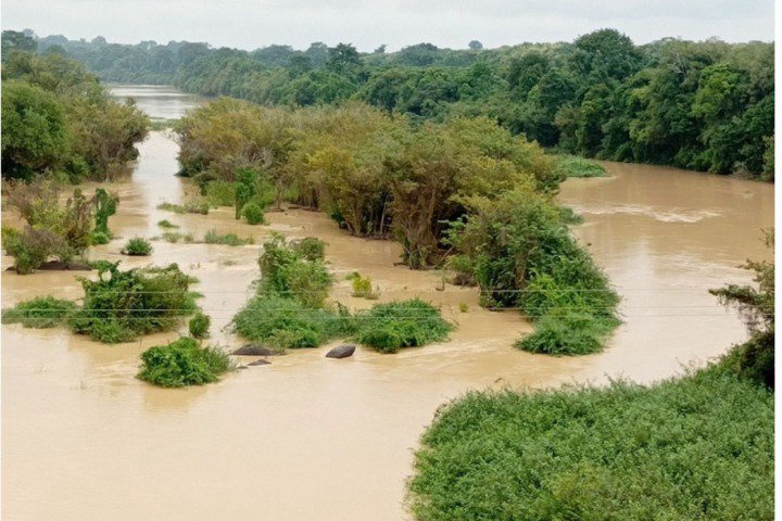 Côte d’Ivoire : des chercheurs innovent contre l’orpaillage illégal