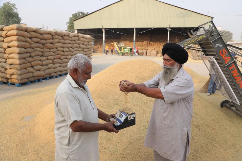 Jalandhar procures 39,000 MT paddy in first five days