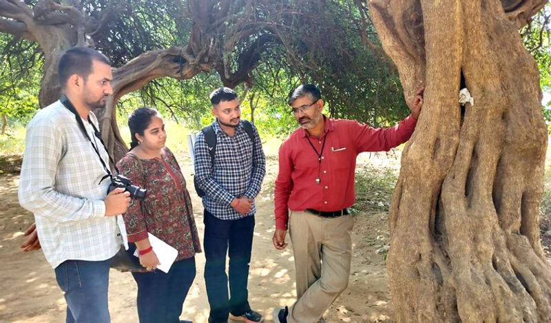 Haryana’s herbal wealth under threat, warns expert