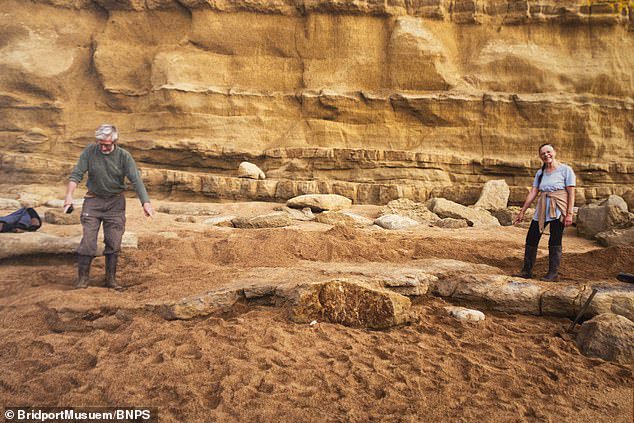 Dino-mite discovery! Belgian tourists discover the remains of a 174 million-year-old giant ichthyosaur while strolling on a beach in Dorset