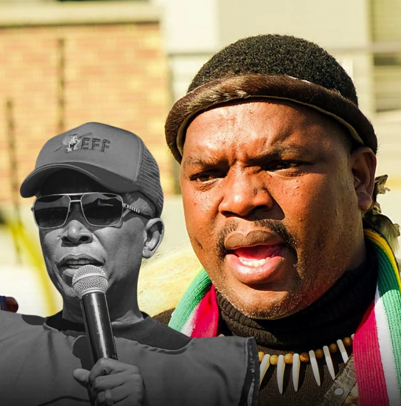Wife Brutally Beaten by Ngizwe Mchunu Turns to Julius Malema For Help
