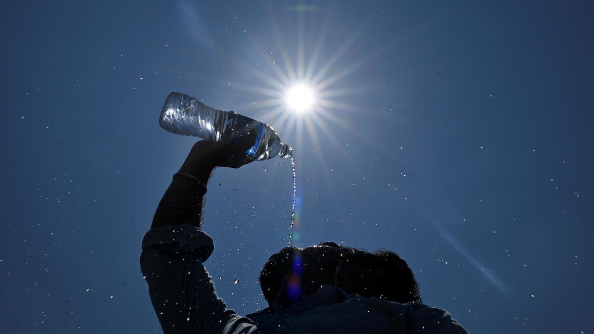 Heat to ease as rain activity set to pick up in parts of T.N. from today