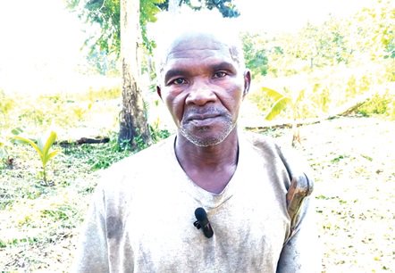 Dry spell hits farms in Bono – Investments threatened