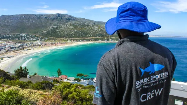 Shark sighting forces temporary closure of Nahoon beach