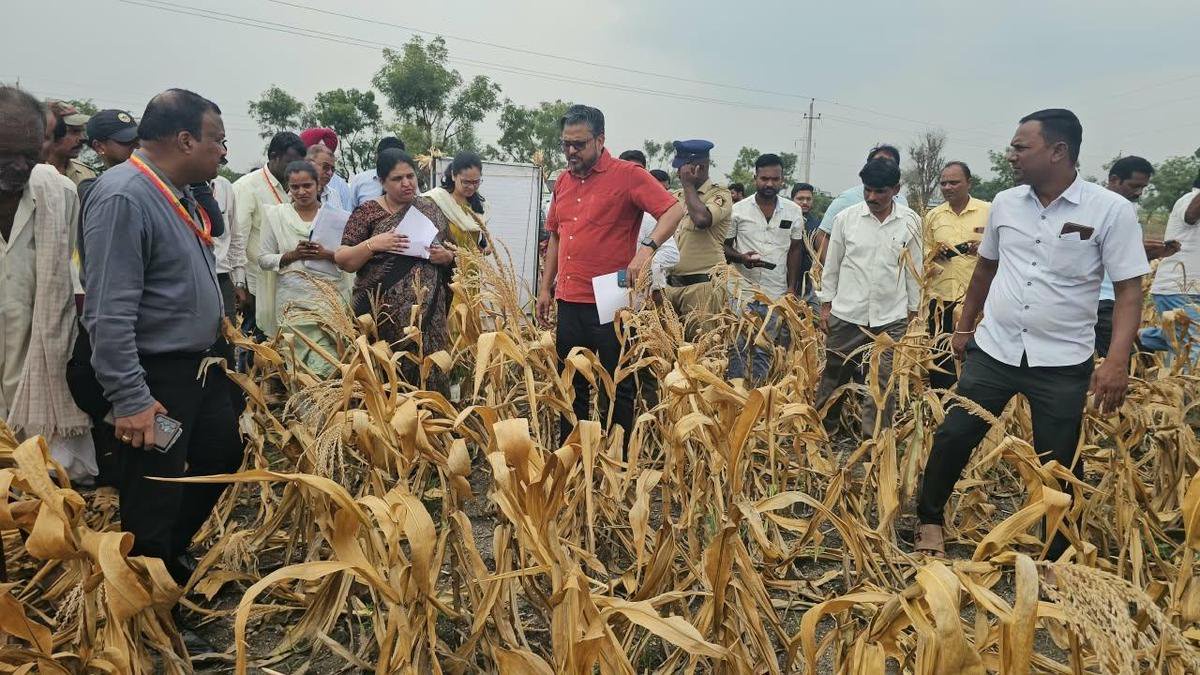 Nine more taluks declared drought-hit in Karnataka; total rises to 226