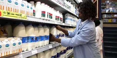 Milk Farmers to Be Paid KSh 65 Per Litre Starting This Month, Ruto Announces