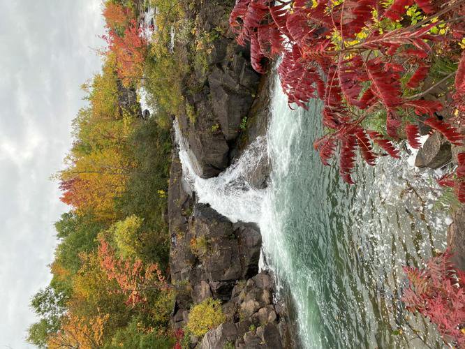Reader photos: Fall foliage
