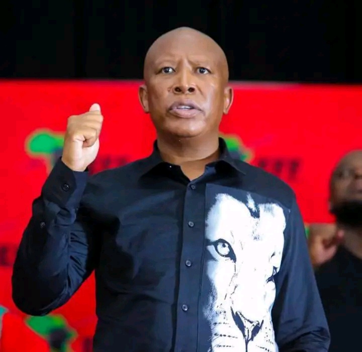 Julius Malema Calls MySol A “Small Boy” As Mining Tycoon Fires Back With A Brutal Response