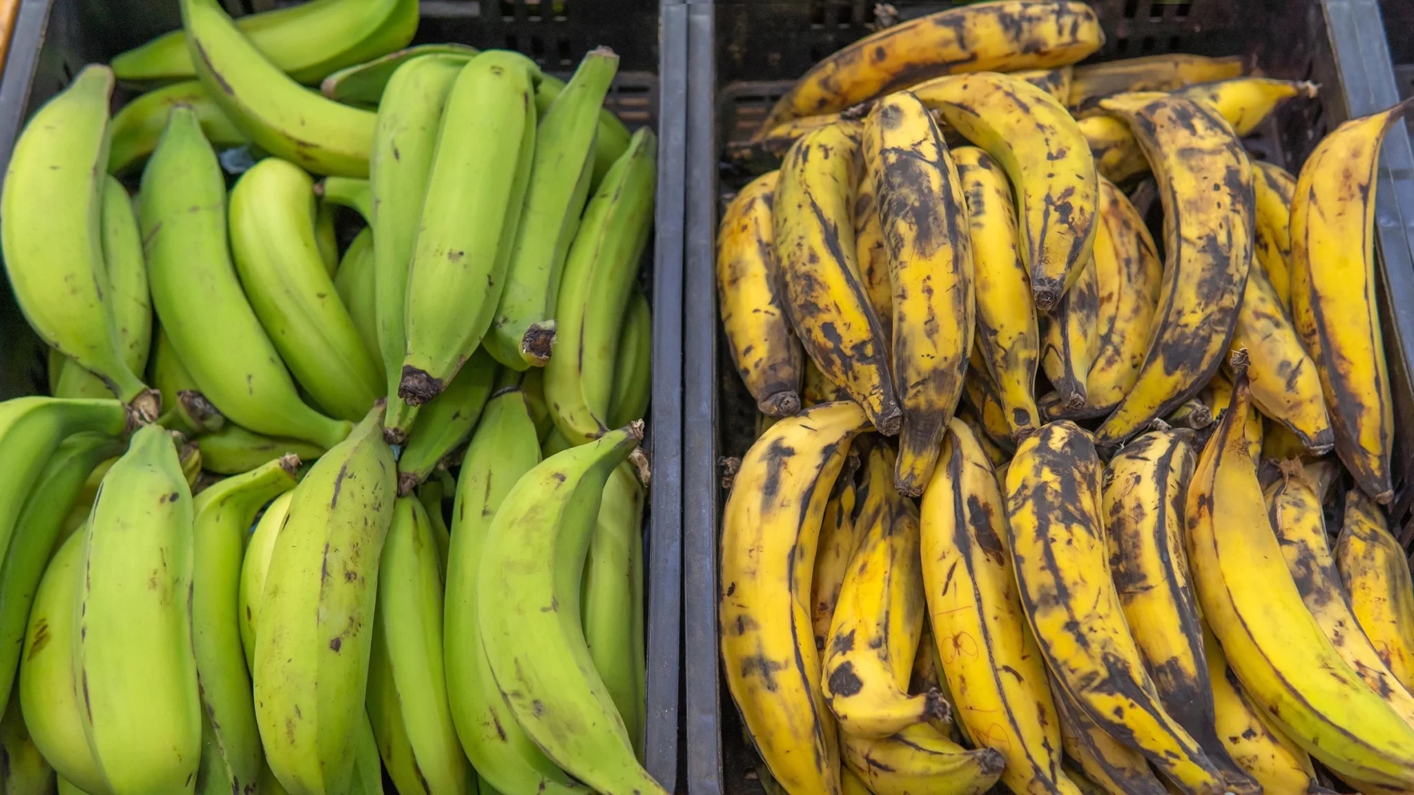 BREAKING: Before You Eat Plantain With High Blood Pressure, Read This