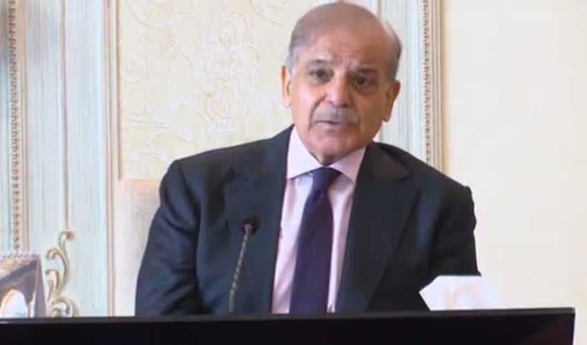 Agriculture can drive Pakistan’s economic growth, says PM Shehbaz