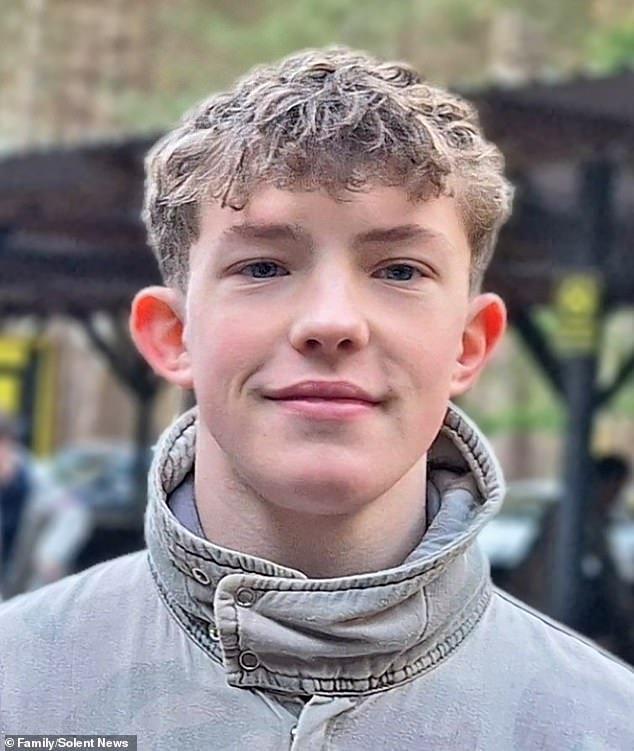 Teenager, 17, died after he was accidentally shot in the head with an air rifle by his friend at a house party as he tried to put the safety on, inquest hears