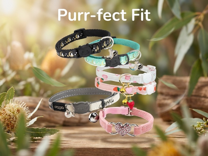 Stylish and Safe: The Perfect Collars for Your Feline Friends