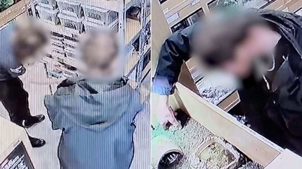 Moment thief steals tortoise from shop by stuffing it in his pocket