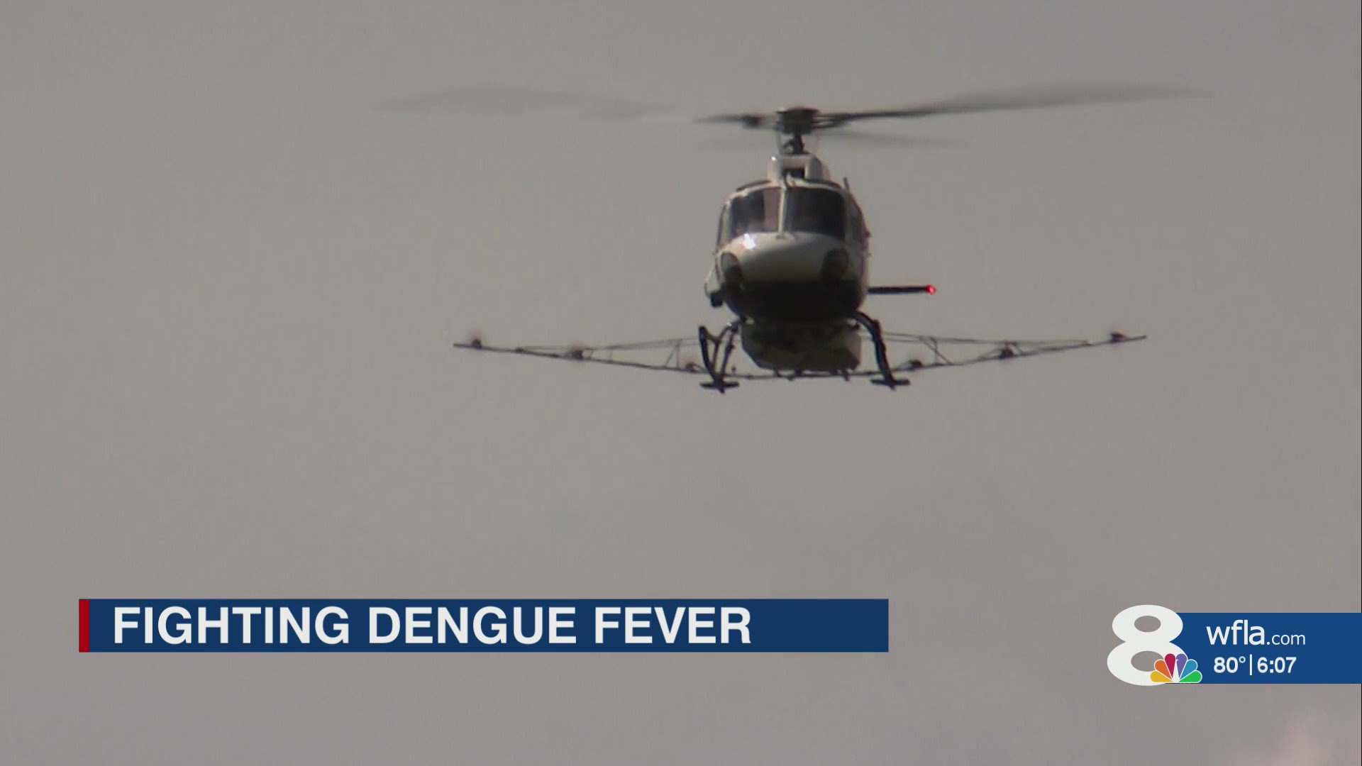 Florida dengue fever cases rise to nearly 300