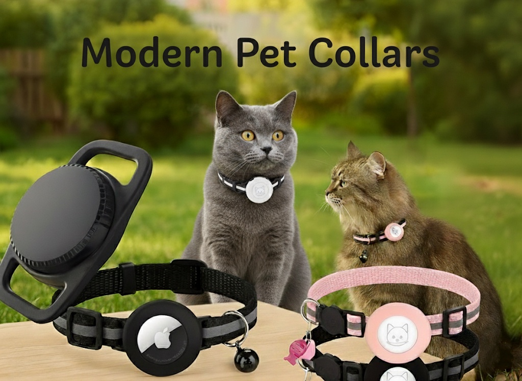Unleash Freedom with These Modern Pet Collars