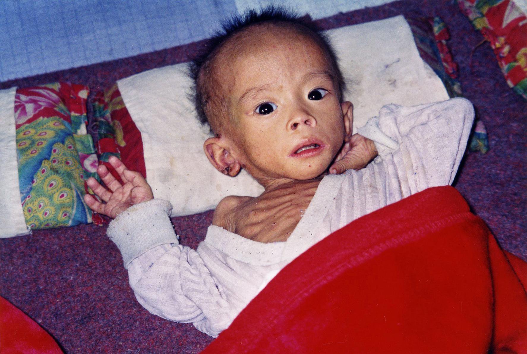 Never-before-seen images from inside North Korea reveal haunting devastation of 90s famine